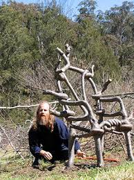 Pooktre Chair Tree Tree Shapes Unusual Plants