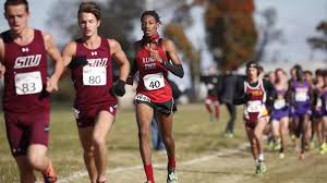 Johnson Leads Redbirds at Hawkeye Invitational