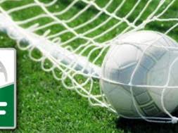 Pe langa celebrele centre urbane, barcelona sau valencia, unde. Liga ProfesionistÄ De Fotbal Din Romania Va InvÄÈa Marketing De La ProfesioniÈti Din Spania Inforoes Ètiri Din Spania