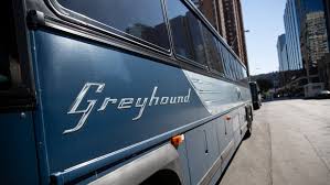 Buy 2 get 1 free + free worldwide shipping. Greyhound Replacements Find Tough Road To Prosperity In Western Canada Cbc News