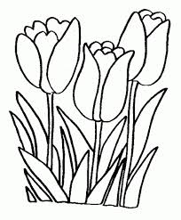 Hgtv features tulips, hydrangeas, and roses that change colors. Easy Printable Flower Coloring Pages Coloring And Malvorlagan