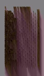 Image result for Oldfieldia macrocarpa