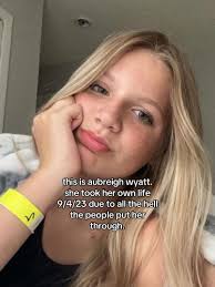 Ava The Bully Case TikTok Account