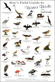 Birds & animals unlimited has demonstrated a chronic failure to meet minimal federal standards for the care of animals used in exhibition as established in the animal welfare act (awa). Wild Birds Unlimited Pet Birds Wild Birds