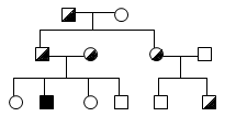 Hereditary Renal Cystic Diseases Autosomal Recessive