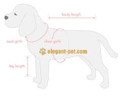Dog Clothes Sizing Chart_information_help_article_leopard K9