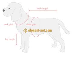 dog clothes sizing chart_information_help_article_leopard k9