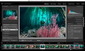 Color Filters Vs Post Processing Underwater Photography Guide