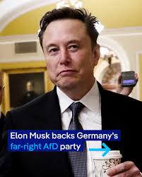 Shortly after the Welt am Sonntag newspaper published Elon Musk's op-ed  restating his support for Germany's far-right AfD party, the opinion  section editor posted