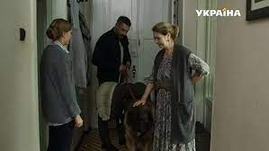 serial god sobaki 2018 syuzhet aktery i roli kadry iz seriala