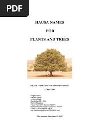 Image result for Sopubia mannii