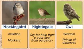 Different Birds And Their Meanings Pretty Enthralling Bird Symbolism And Their Meanings Animal Spirit Guides Bird Meaning Sparrow Symbolism