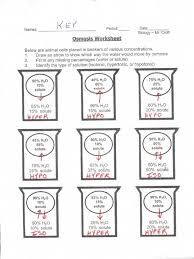 16 best images of diffusion osmosis active transport. Diffusion And Osmosis Worksheet Answers Osmosis Beaker Key Osmosis Solving Quadratic Equations Worksheet Template Worksheets