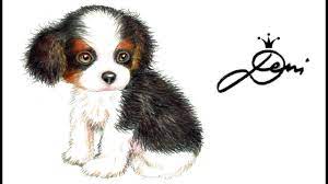 Jun 02, 2021 · ob im café, selbstgemacht oder aus dem supermarkt: Hund Zeichnen Cavalier King Charles Spaniel Welpe Malen Dog Drawing How To Draw A Puppy Kuche ç‹— Youtube