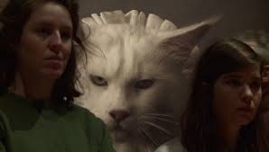 Lingen, Charlotte van