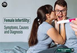 Image result for Female Infertility