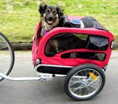 Transportadoras Y Casas Otros En Perros Mercadolibre Chile