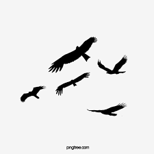 Flying Bird Silhouette Fly Bird Dayan Png Transparent Clipart Image And Psd File For Free Download Flying Bird Silhouette Bird Silhouette Girl Drawing Images
