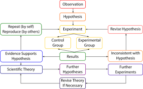 The Scientific Method Ck 12 Foundation