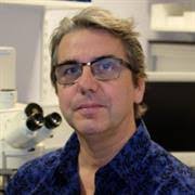 Stephen Brickley's Instagram, Twitter & Facebook