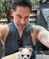 Joe Manganiello Gets a Tattoo With a Poignant Meaning After Split From Sofía Vergara / Bright Side
