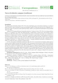 Image result for Justicia fittonioides