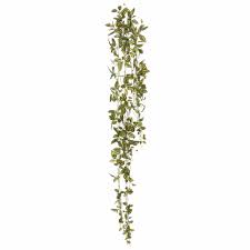 Check spelling or type a new query. Charlton Home Wandering Jew Hanging Bush Ivy Plant Reviews Wayfair