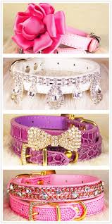 pin on dog accessories