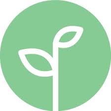 Similar to a tampon, gently insert vaginally 2x per day for 7 days. The Honey Pot Herbal 7 Day Suppositories 14ct Target