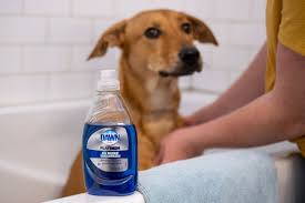 Pin On Pet Stuff