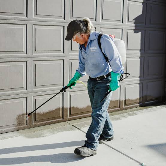 Foundation Pest Barrier