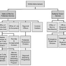 hazing group organizational chart download scientific diagram