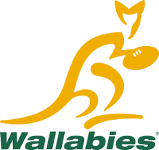 Each player has a fixed role and each team uses the same formation, with only minor variations. International Rugby Union Team Color Codes