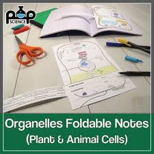 Maybe you would like to learn more about one of these? Cell Organelles Foldables Exploring Plant Animal Cell Structure Function