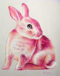 If instead of drawing, you just want to color rabbit, you can print a rabbit drawing of the ones shown here, and you can paint it any way you want. Petit Lapin Little Bunny Made With Colored Pencil Bunny Rabbit Bun Animal Pink Colored Pencil Cute Bunny Drawing Rabbit Drawing Colored Pencil Artwork