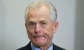 Peter Navarro: what Trump's Covid-19 tsar lacks in expertise, he makes up