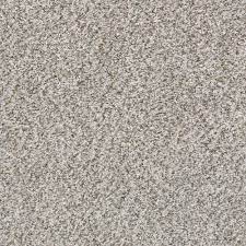 Many unique carpet lines followed philadelphia under shaw's name. Shaw Gray Carpet At Lowes Com