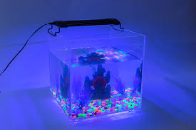 Beli perlengkapan aquarium lengkap di ruparupa.com. Seabillion Lampu Akuarium Led Lampu Tropis Perlengkapan Hewan Peliharaan Air Tawar Tanaman Buy Led Akuarium Lampu Pencahayaan Untuk Tanaman Air Tawar Hewan Peliharaan Peralatan Tropis Lampu Product On Alibaba Com