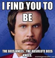 You're the bees knees! 😆
