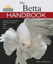 If you have the abundant time, resources, knowledge, and commitment that breeding. How To Breed Betta Fish Expert Step By Step Guide