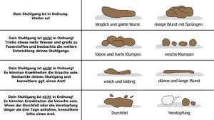 Anatomische trense schwarz braun hellbraun/cognac wie micklem. Hellbrauner Stuhlgang Hund Verstopfung Beim Hund Obstipation á… Was Tun Und Was Hilft Hellbrauner Kot Stuhlgang Beim Hund á… Ursachen Und Hilfe á… Nomatq3 Images