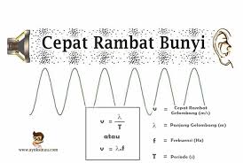 Ternyata garpu tala berperan dalam penemuan telepon loh.tapi sekarang kita belajar dulu bagaimana cara kerja garpu tala ya. Cepat Rambat Bunyi Pengertian Rumus Faktor Dan Contoh
