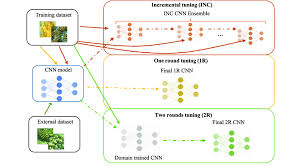Image result for training effect schema
