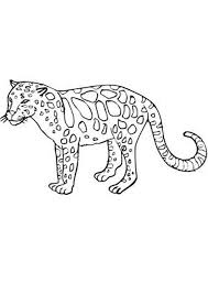 285x387 best cheetah coloring pages for your little ones cheetahs. Coloring Pages Baby Cheetah Coloring Pages