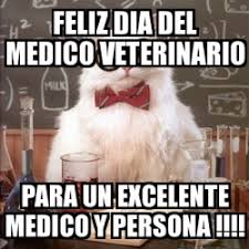 El rol del médico veterinario en la sociedad es muy amplia y no se limita únicamente al cuidado de mascotas, ya que una de las principales respetar a los animales es una obligación, amarlos es un privilegio. Meme Chemistry Cat Feliz Dia Del Medico Veterinario Para Un Excelente Medico Y Persona 18099455