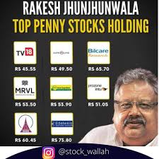 Rakesh jhunjhunwala penny stocks list. Yodkilo Fmer M
