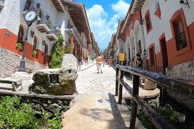 Image result for xenevu