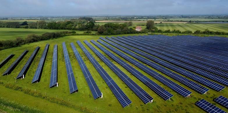 Britain's best farmland destroyed under Net Zero madness as enough food to  feed 200,000 vanishes