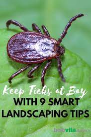 Keep Ticks At Bay With 9 Smart Landscaping Tips Landscaping Tips Garden Pest Control Ticks