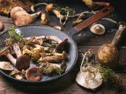 We did not find results for: Funghi Dalla Pulizia Ai Tipi Come Usarli In Cucina Ricette Veloci Con I Funghi 10 Piatti Facili Con Porcini Finferli Cardoncelli Cook Cucina Corriere It